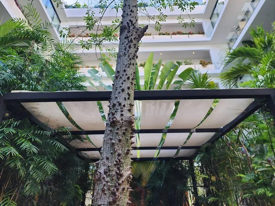 Stunning 1 Bdrm Condo Gym-Pool 10 Min To The Beach & Quinta Av Playa del Carmen